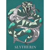 NAME IT Harry Potter Tee Slytherin Green